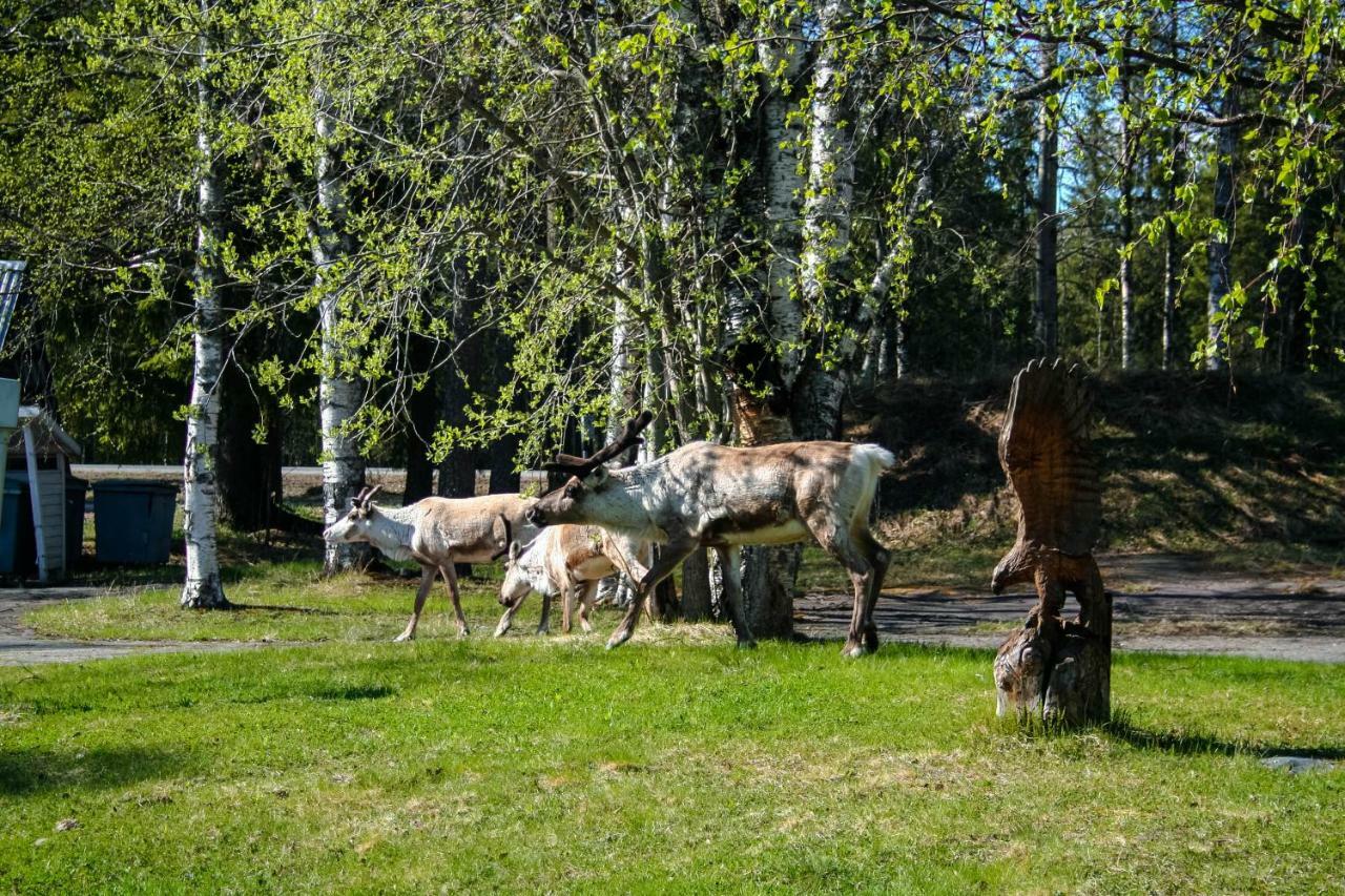 Motelli Rovaniemi Buitenkant foto